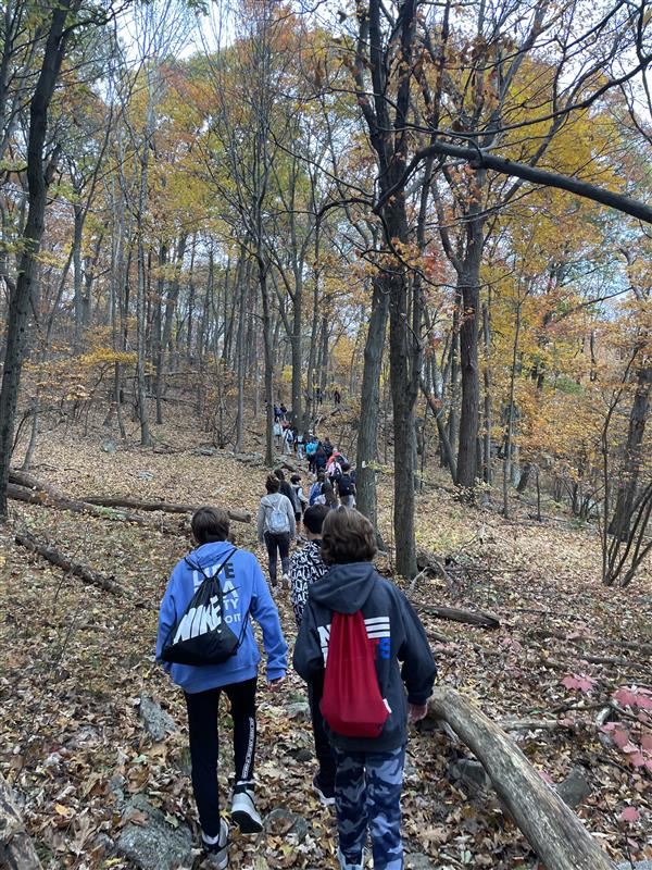 Field Trip