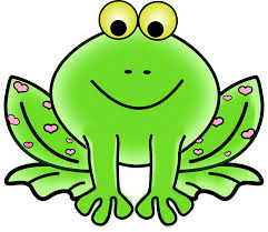 frog 